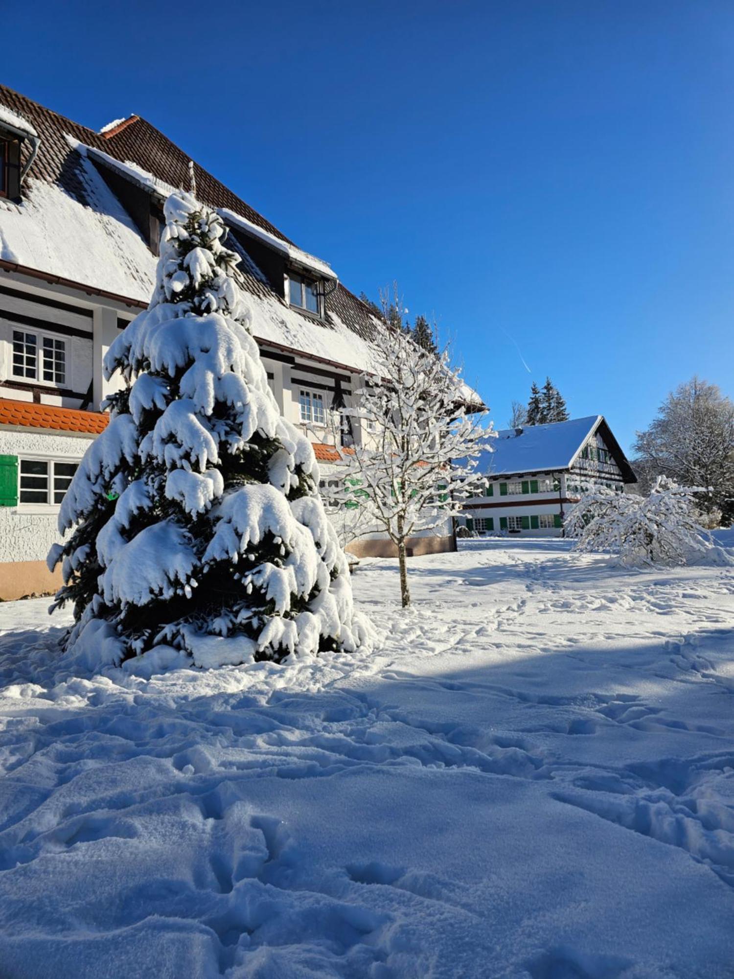 Allgaeu Residenz Natur & Spa Gmbh Wiggensbach Exterior photo