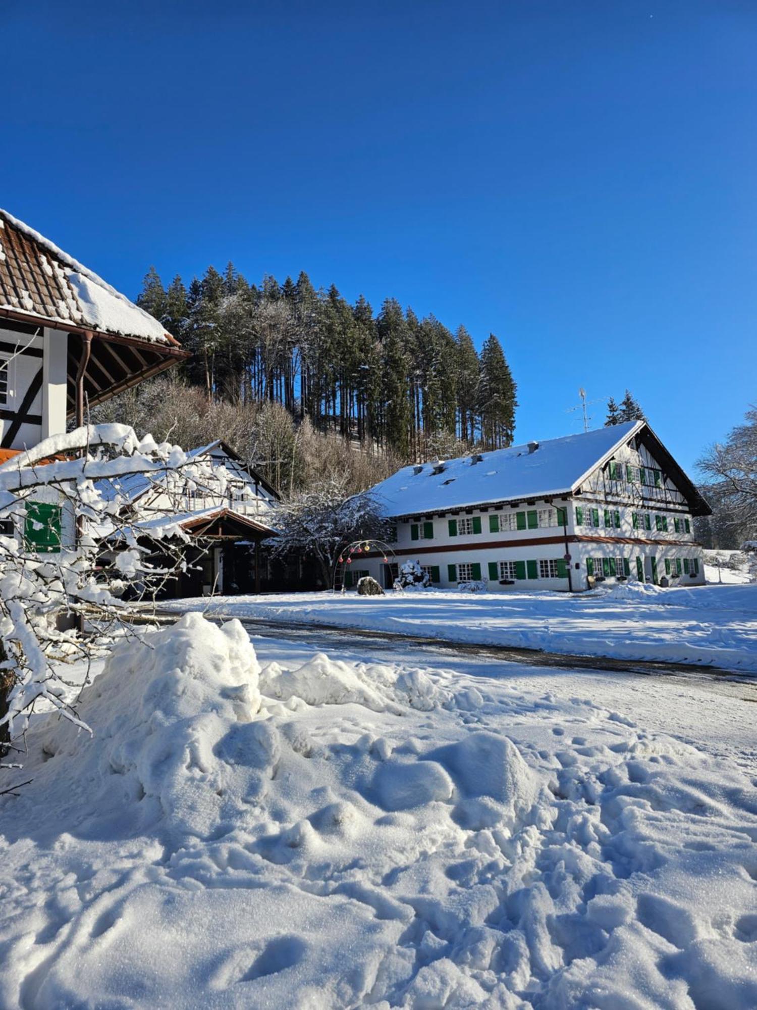 Allgaeu Residenz Natur & Spa Gmbh Wiggensbach Exterior photo